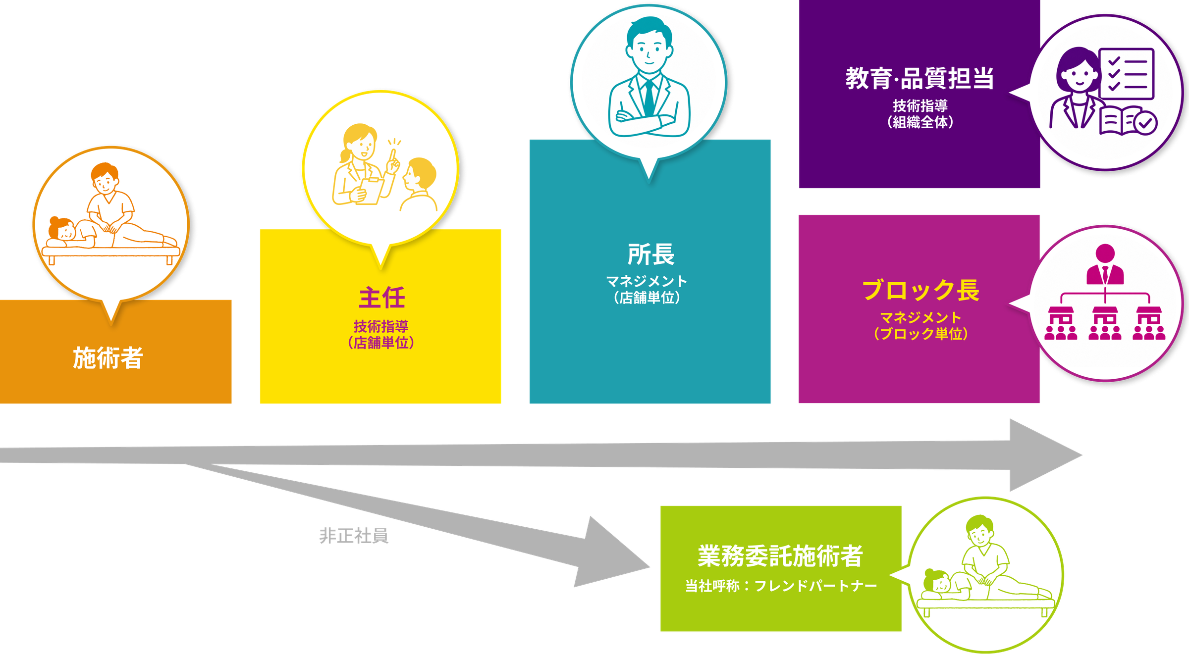 キャリアパス図:施術者→主任(技術指導・店舗単位)→所長(マネジメント・店舗単位)→ブロック長(マネジメント・ブロック単位)/教育・品質担当(技術指導・組織全体)。非正社員は業務委託施術者(当社呼称:フレンドパートナー)
